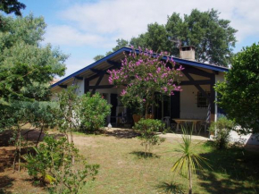 Grande maison landaise près du port de Capbreton, 4 chambres, jardin, animaux admis - FR-1-413-232